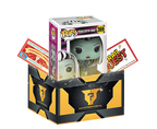 Box of Fun Hunt Mystery Grail - Single Funko Pop Blind Box