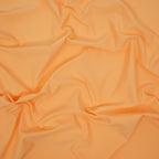 Feather Microfiber Nylon Spandex Jersey Fabric | Blue Moon Fabrics