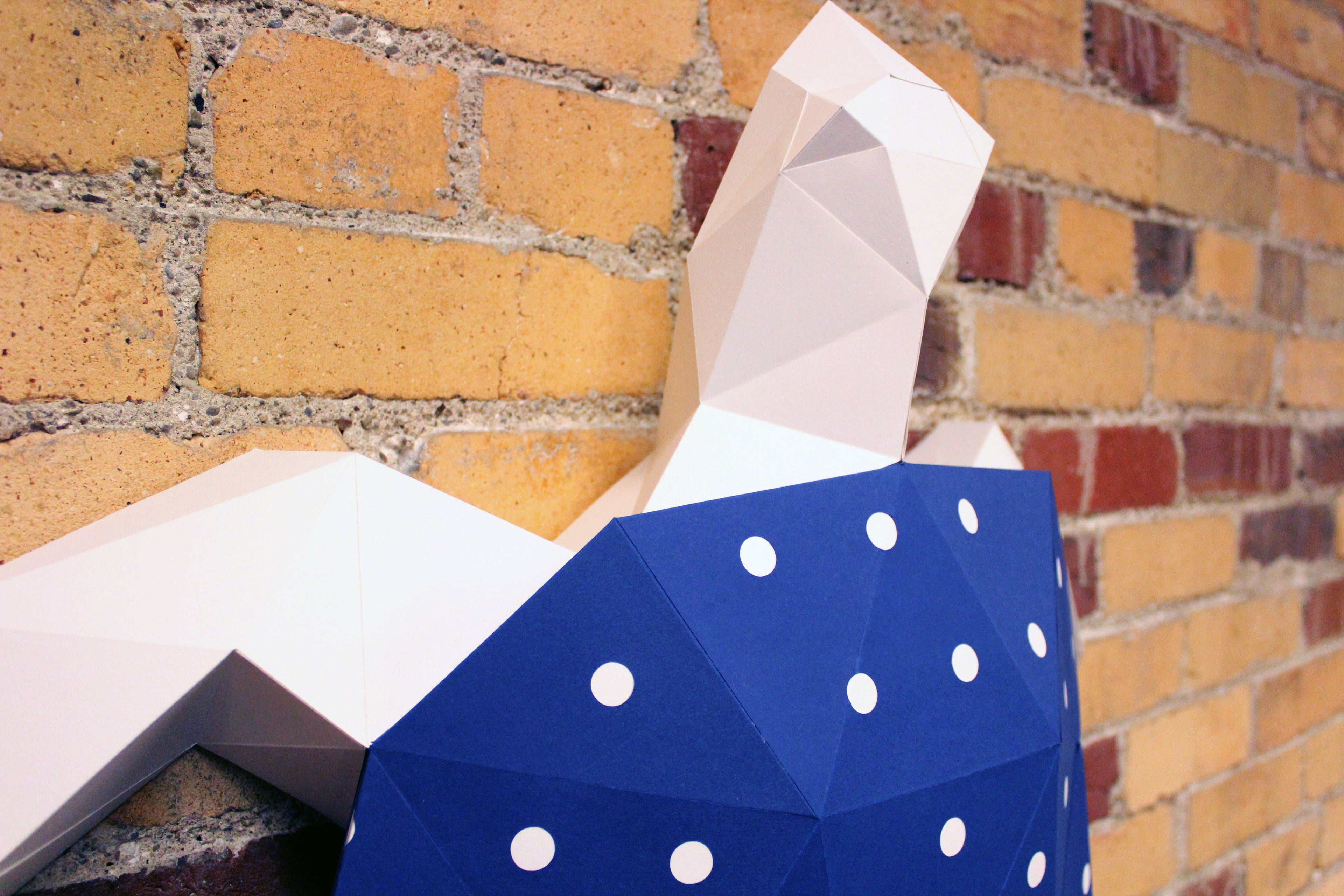 Donna the Turtle | DIY Paper Craft Animal Kit