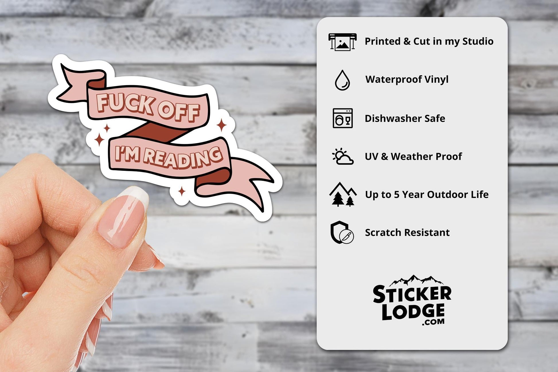 Fuck Off I'm Reading Vinyl Sticker