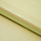 Pastel Iridescent Organza Fabric | Blue Moon Fabrics